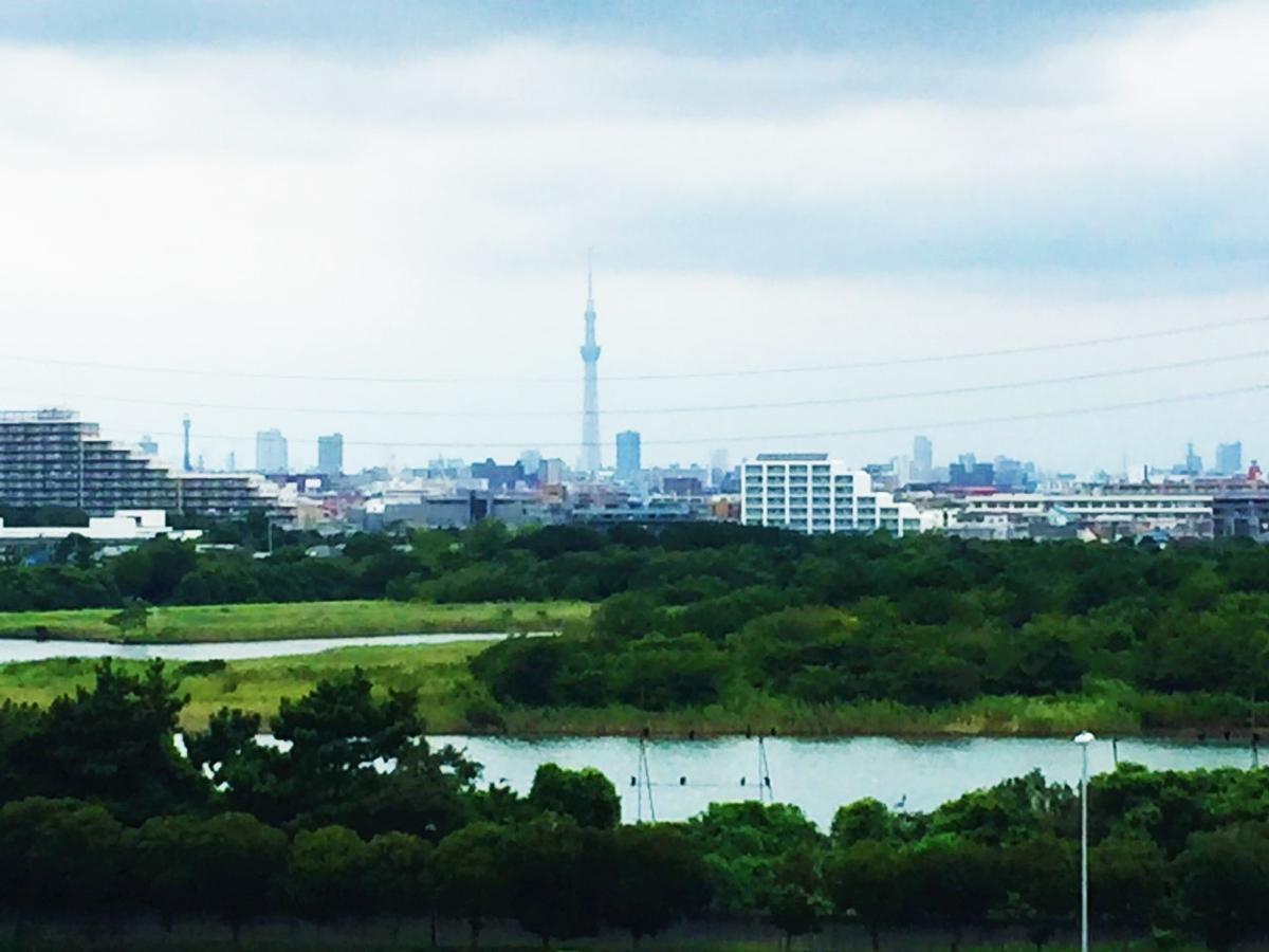 Nice Inn Hotel Ichikawa Tokyo Bay Urayasu Zewnętrze zdjęcie